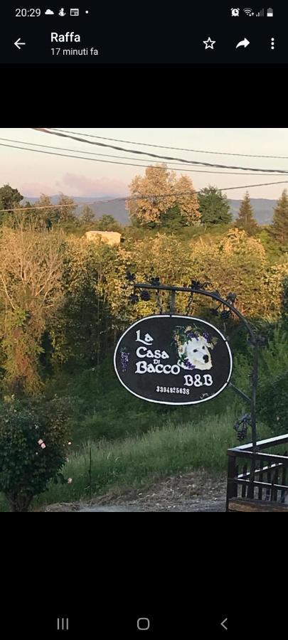 La Casa Di Bacco B&B Lerma 外观 照片